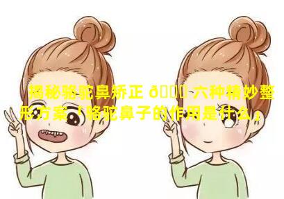 揭秘骆驼鼻矫正 🐘 六种精妙整形方案「骆驼鼻子的作用是什么」